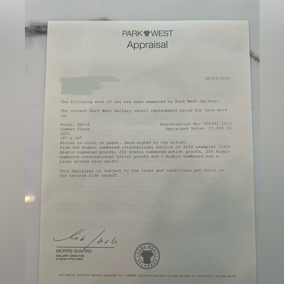 Summer Finds by David Najar (18”x18” art with custom frame) - Picture 8 of 8